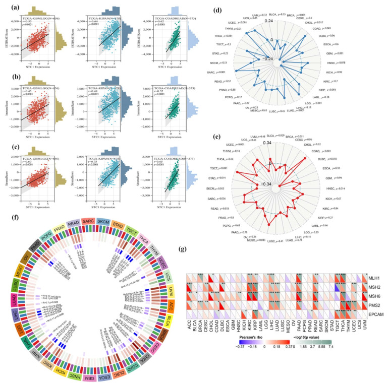 PMC11354978 – ijms-25-09085-f009