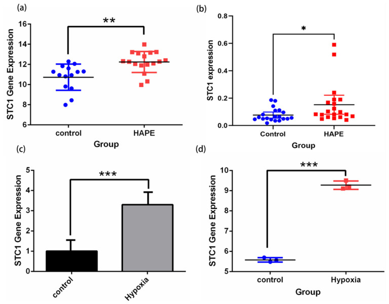 PMC11354978 – ijms-25-09085-f010