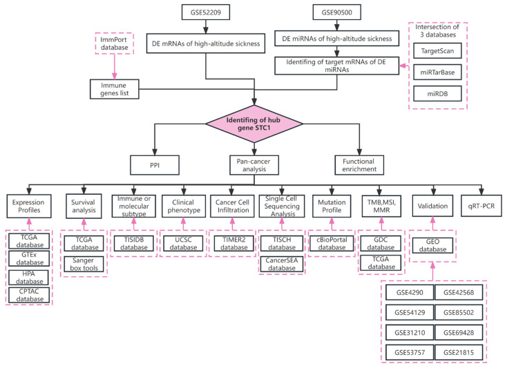 PMC11354978 – ijms-25-09085-f012