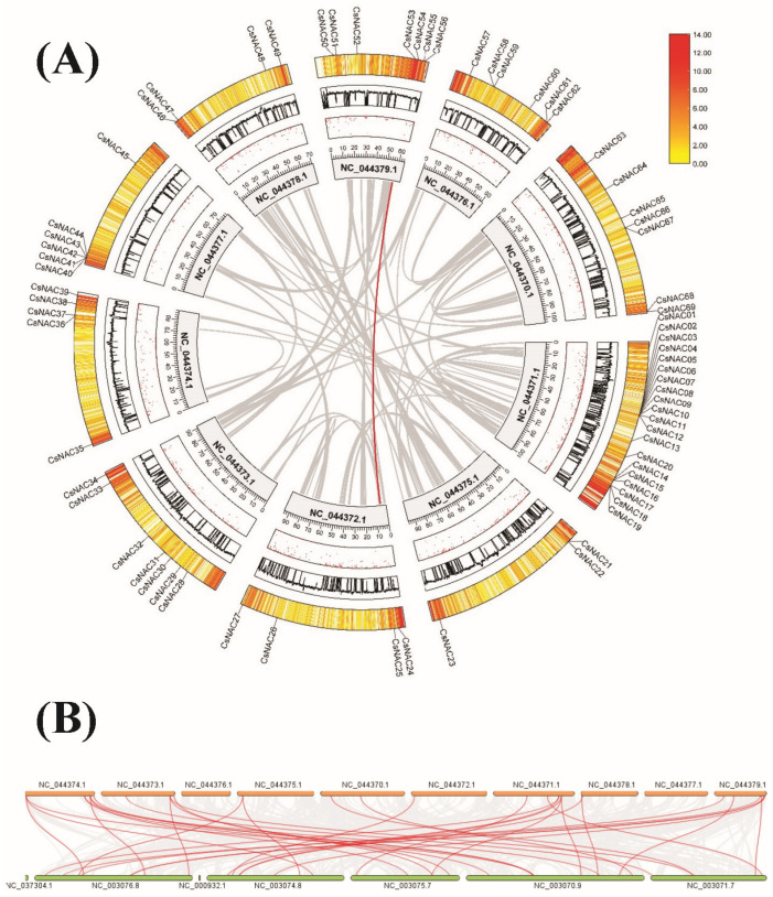 PMC11394811 – ijms-25-09466-f005
