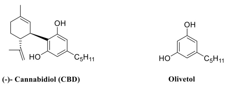PMC11395037 – ijms-25-09579-f001