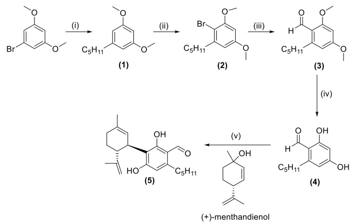 PMC11395037 – ijms-25-09579-sch001