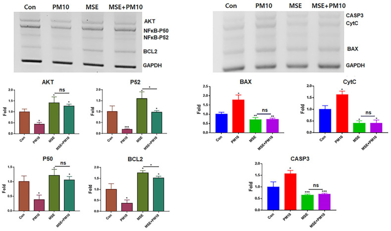 PMC11477052 – ijms-25-10331-f002