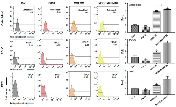 PMC11477052 – ijms-25-10331-f005