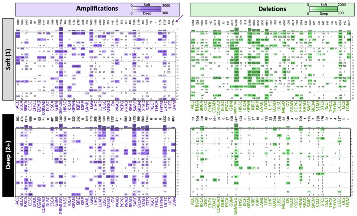 PMC11477427 – ijms-25-10455-f002