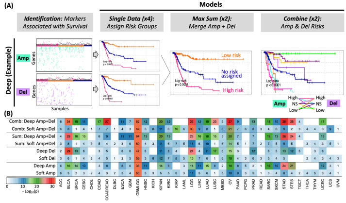 PMC11477427 – ijms-25-10455-f003