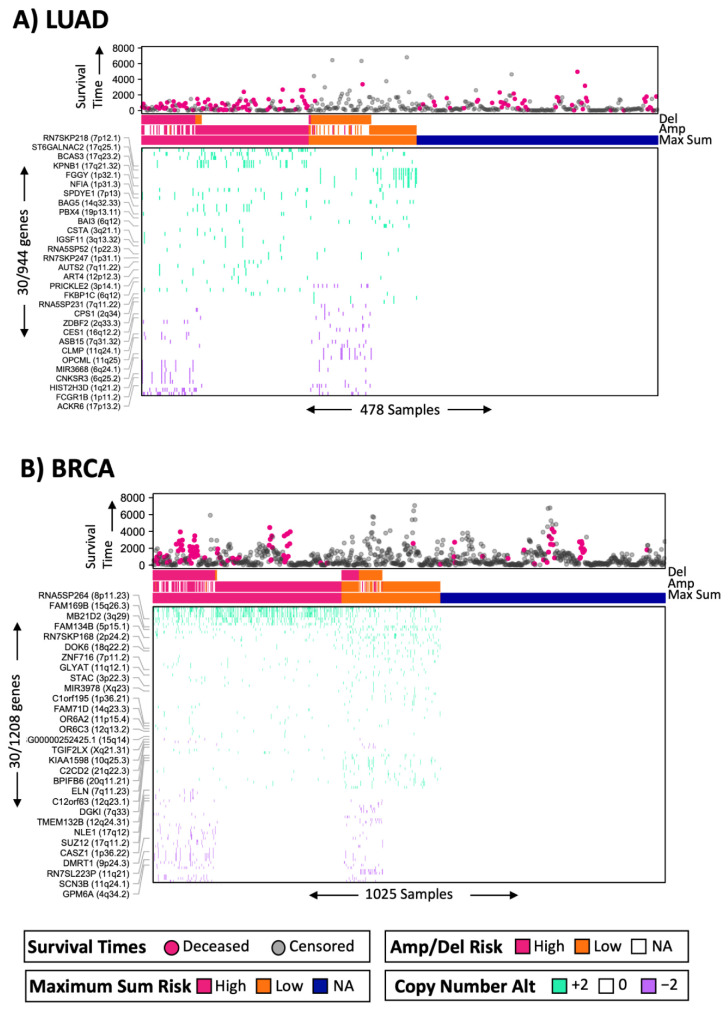 PMC11477427 – ijms-25-10455-f006