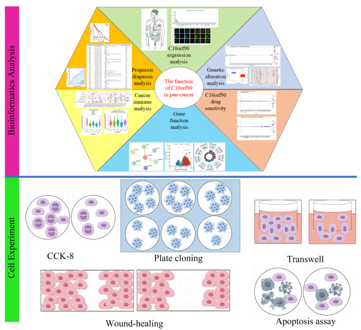 PMC11476934 – ijms-25-10496-f001
