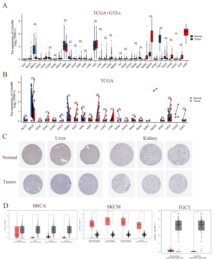 PMC11476934 – ijms-25-10496-f003