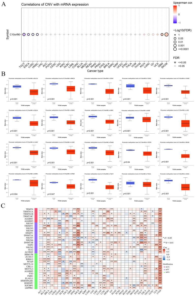 PMC11476934 – ijms-25-10496-f006