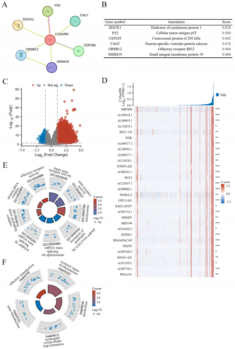 PMC11476934 – ijms-25-10496-f009