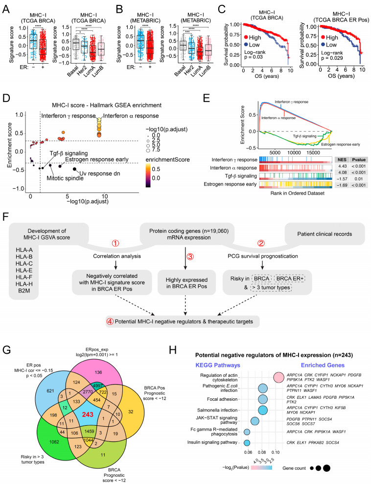 PMC11476581 – ijms-25-10546-f001