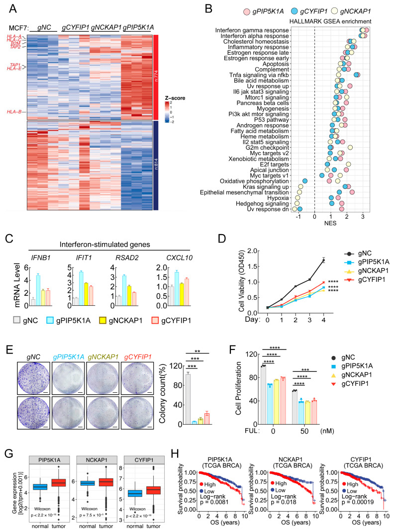 PMC11476581 – ijms-25-10546-f003