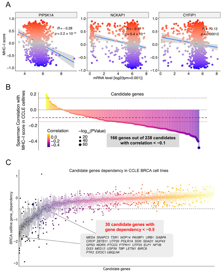 PMC11476581 – ijms-25-10546-f004