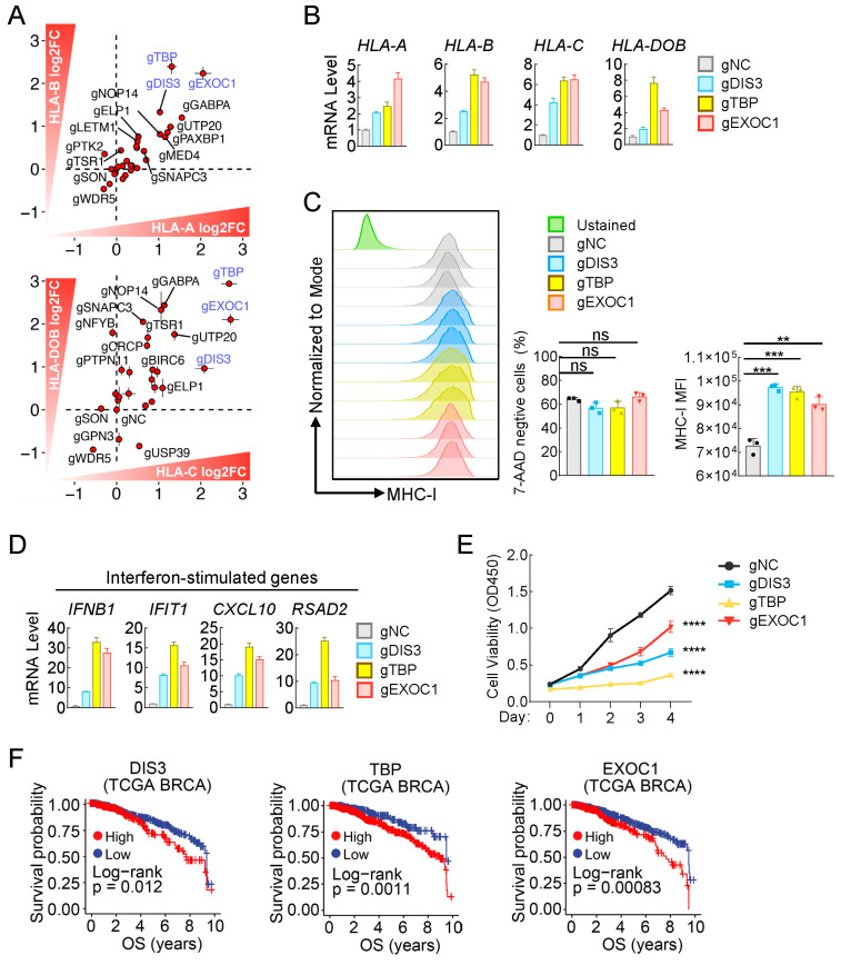 PMC11476581 – ijms-25-10546-f005