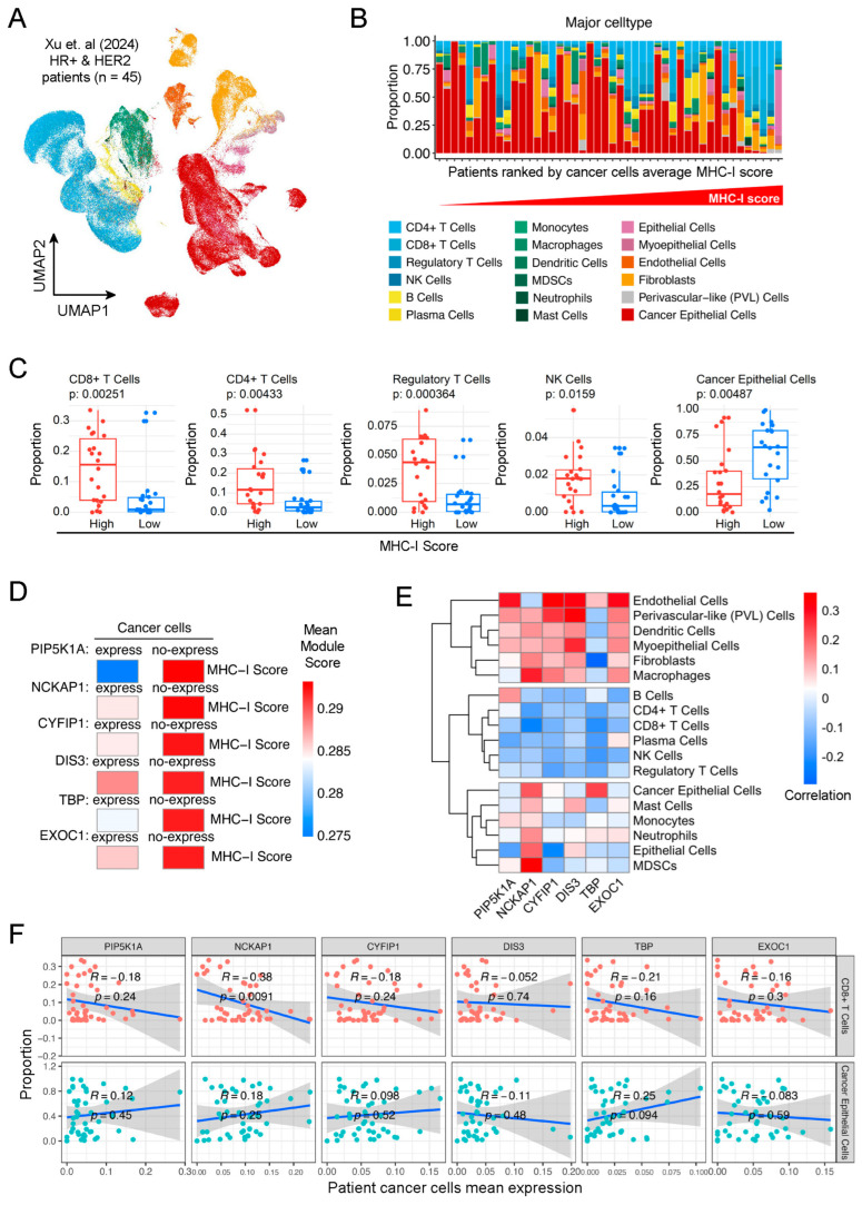 PMC11476581 – ijms-25-10546-f006