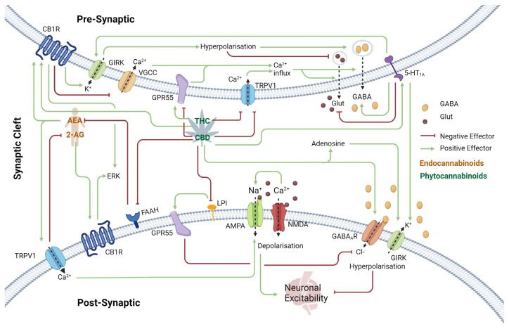 PMC11476665 – ijms-25-10768-f001