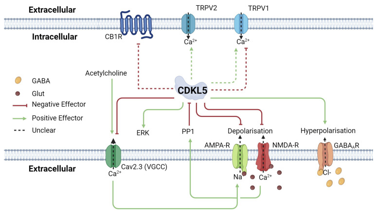 PMC11476665 – ijms-25-10768-f002
