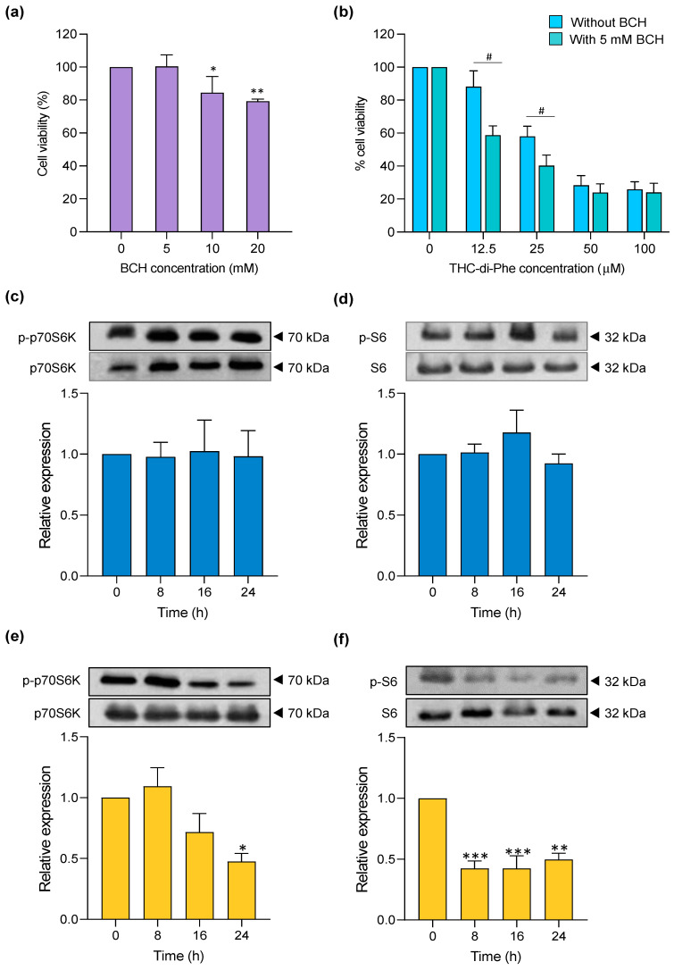 PMC11509005 – ijms-25-11266-f006