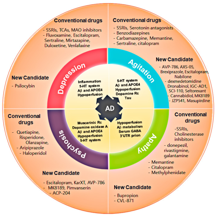 PMC11547068 – ijms-25-11338-f001