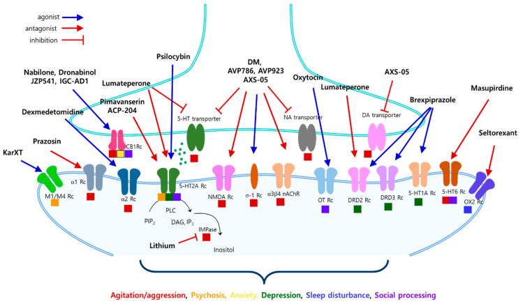 PMC11547068 – ijms-25-11338-f002