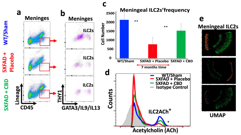 PMC11546302 – ijms-25-11764-f005