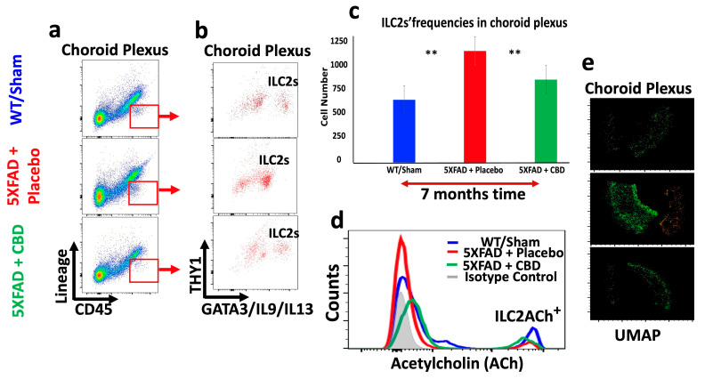 PMC11546302 – ijms-25-11764-f006