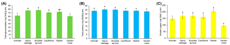 PMC11546364 – ijms-25-11831-f001