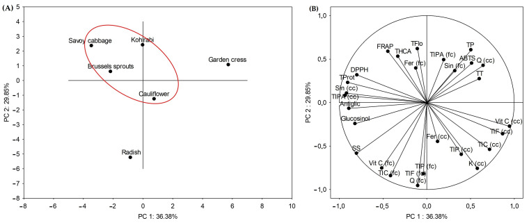 PMC11546364 – ijms-25-11831-f003