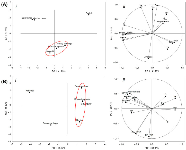 PMC11546364 – ijms-25-11831-f004