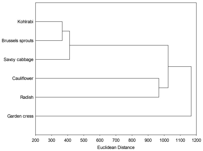 PMC11546364 – ijms-25-11831-f005