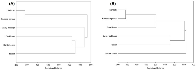 PMC11546364 – ijms-25-11831-f006