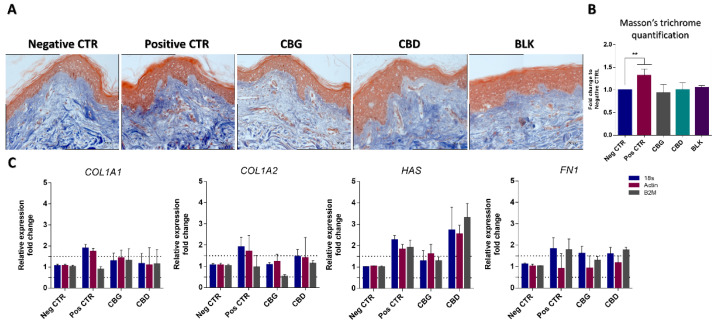 PMC11595262 – ijms-25-12224-f006