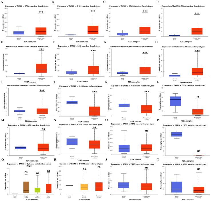 PMC11640931 – ijms-25-12713-f001