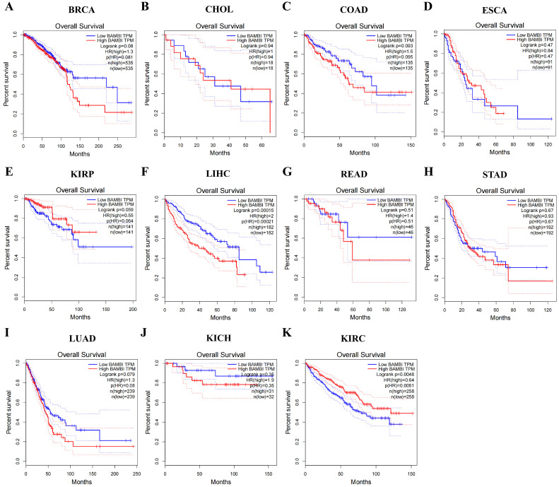 PMC11640931 – ijms-25-12713-f002