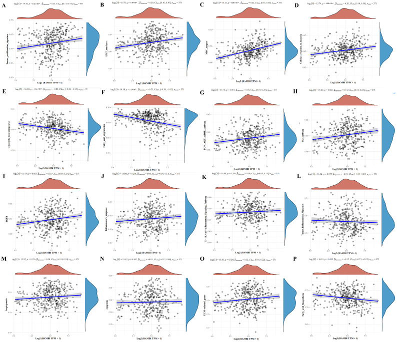 PMC11640931 – ijms-25-12713-f003