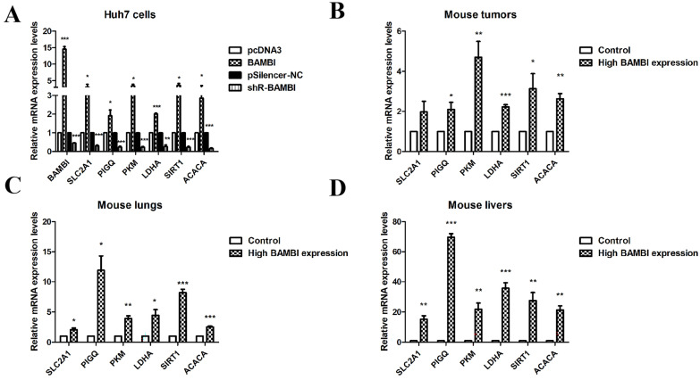 PMC11640931 – ijms-25-12713-f004