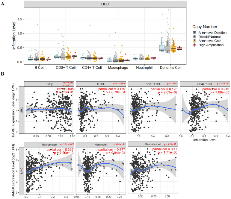 PMC11640931 – ijms-25-12713-f005