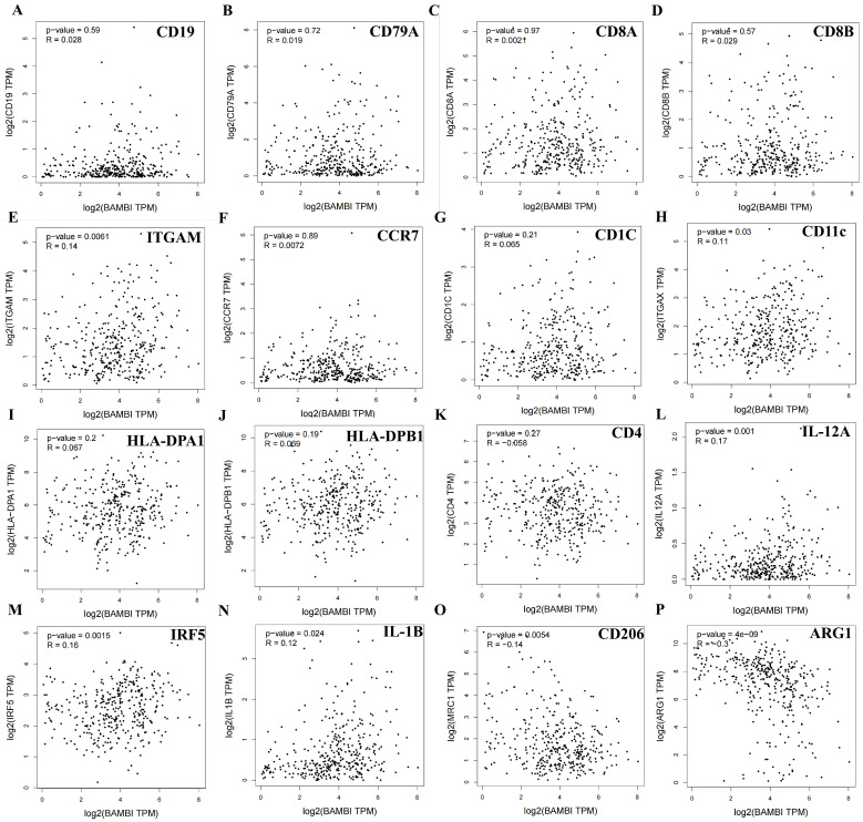 PMC11640931 – ijms-25-12713-f006