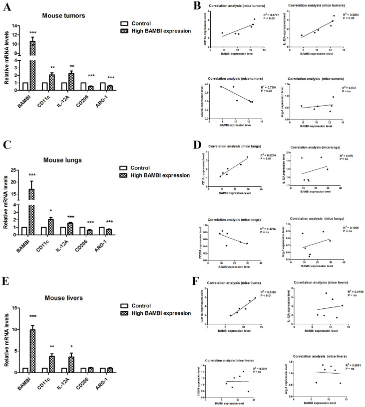 PMC11640931 – ijms-25-12713-f007