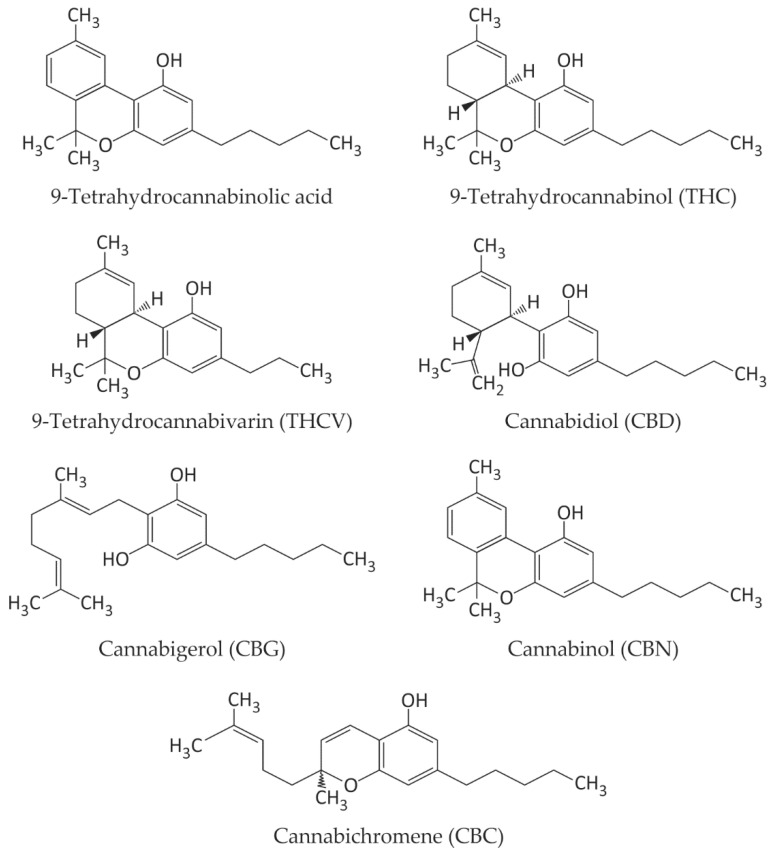 PMC11641728 – ijms-25-12738-f001