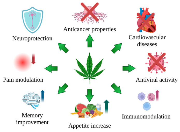 PMC11641728 – ijms-25-12738-f002