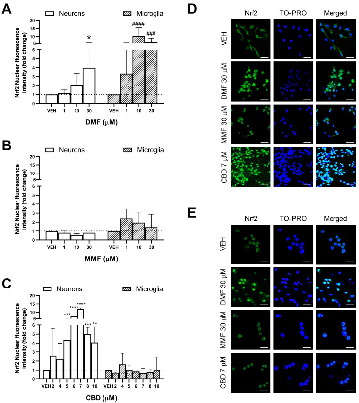 PMC11642486 – ijms-25-13082-f002