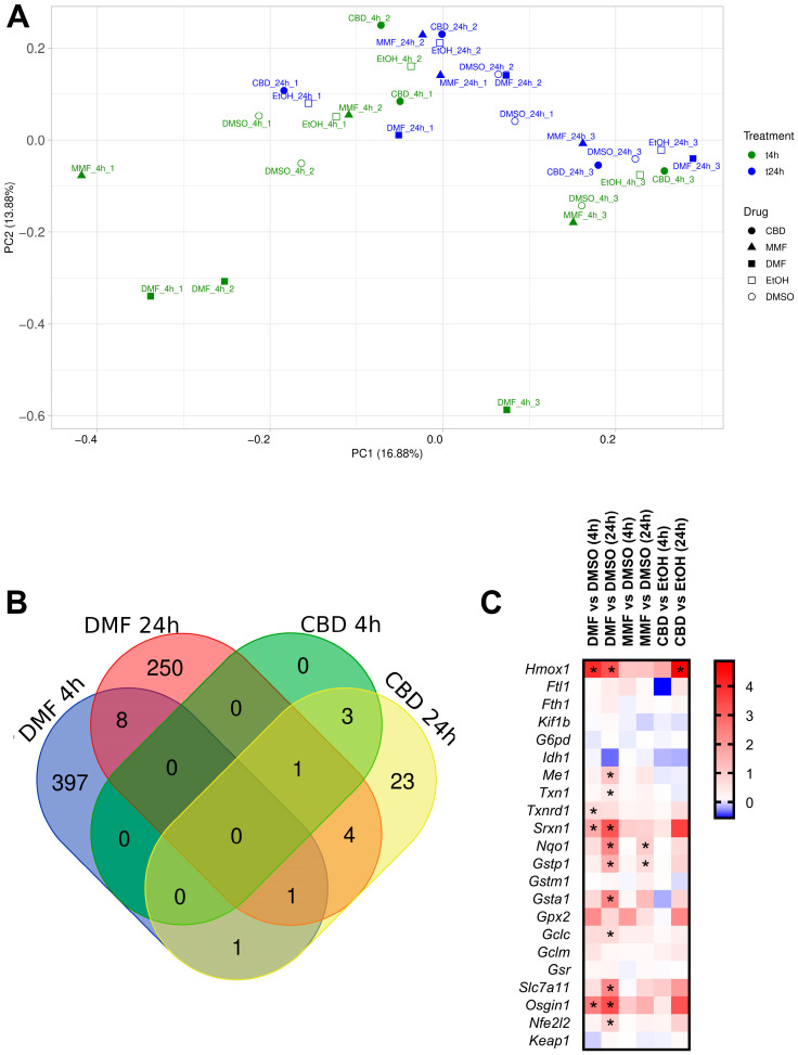 PMC11642486 – ijms-25-13082-f004