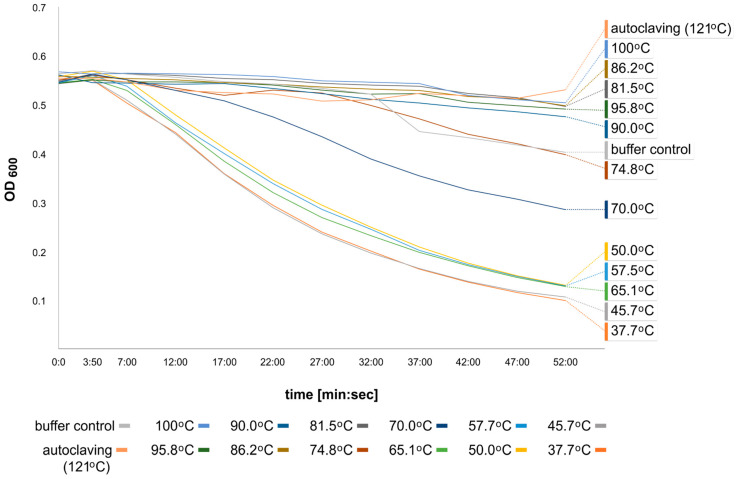 PMC11642820 – ijms-25-13111-f006