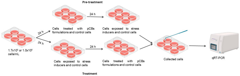 PMC11641943 – ijms-25-13142-f008