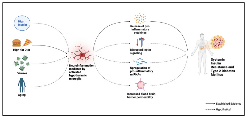 PMC11642714 – ijms-25-13169-f002