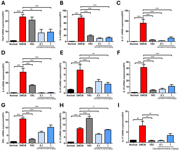 PMC11677870 – ijms-25-13539-f004