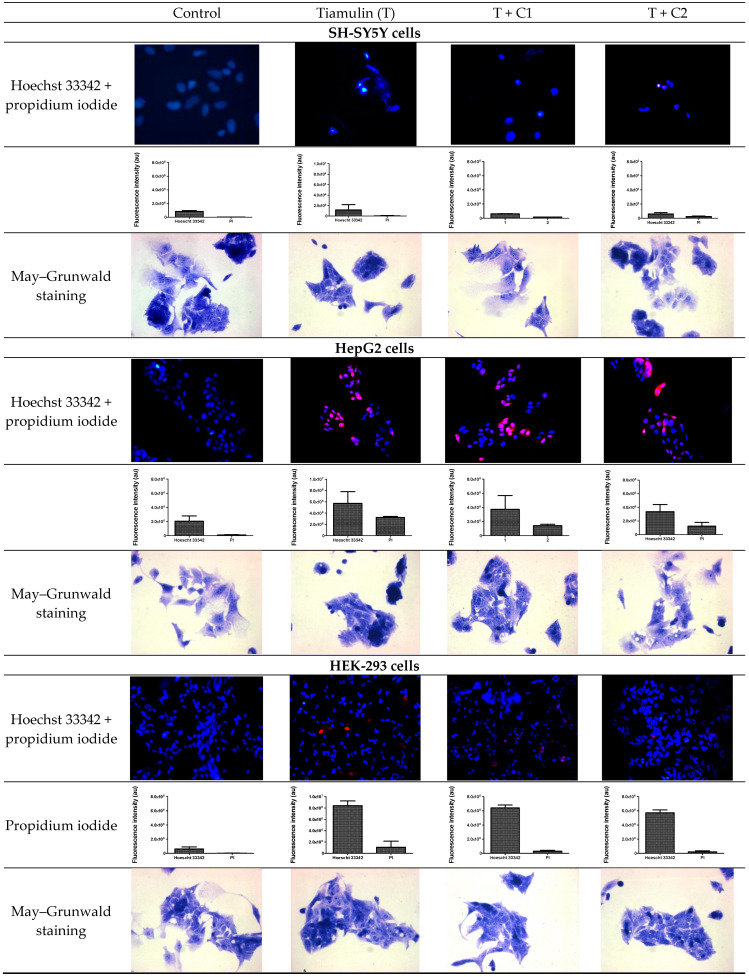 PMC11676896 – ijms-25-13542-f006