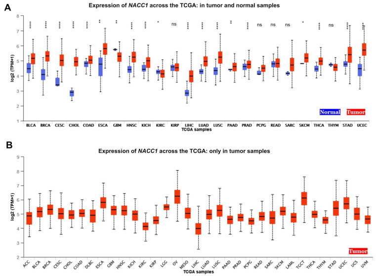 PMC11728236 – ijms-25-13632-f002
